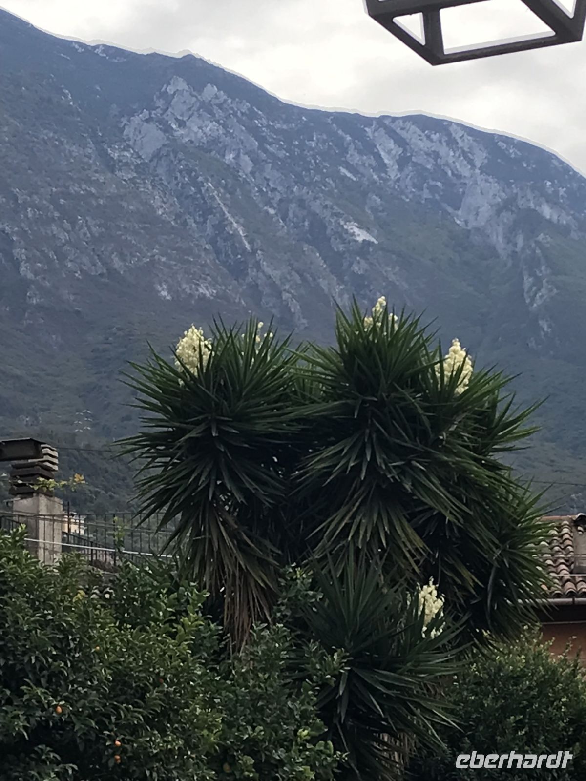 Wanderreise am Gardasee 15.10.2024  - Malcesine  