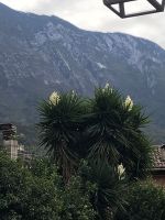 Wanderreise am Gardasee 15.10.2024  - Malcesine  