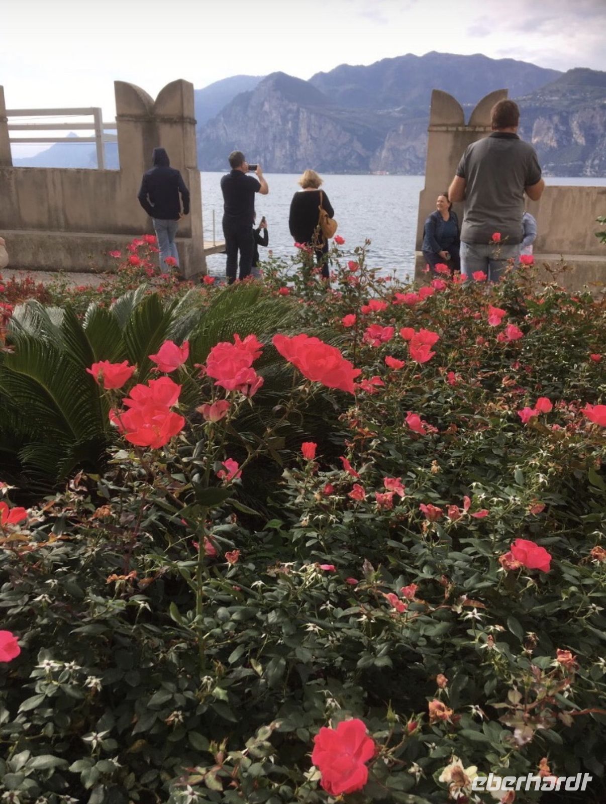 Wanderreise am Gardasee 15.10.2024  - Malcesine  Palazzo Capitani Garten