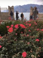 Wanderreise am Gardasee 15.10.2024  - Malcesine  Palazzo Capitani Garten