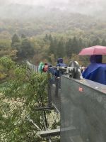 Wanderreise Italien 18.10.2024 Wanderung von Ballion zum Bergsee Tenno - Hängebrücke 