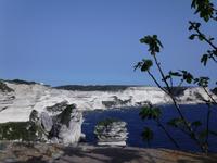 Kreideküste von Bonifacio