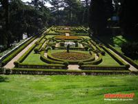 In den Vatikanischen Gärten