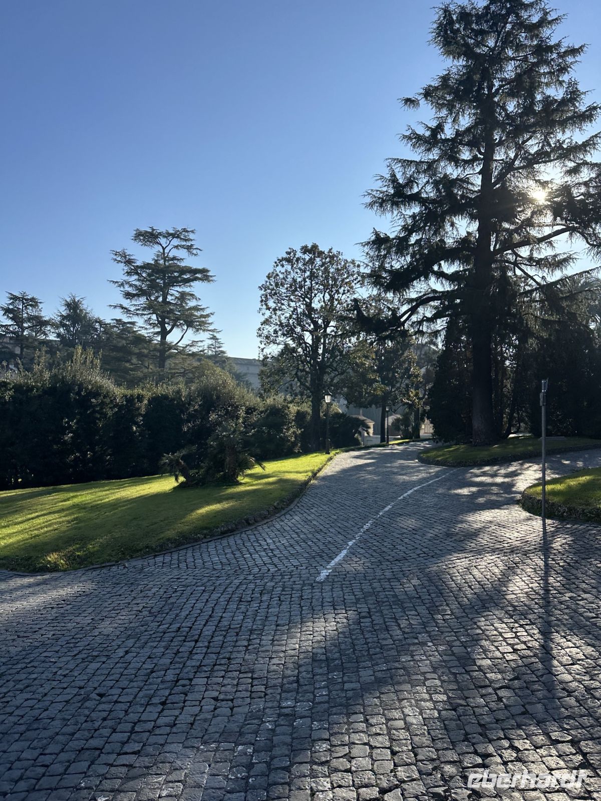 Vatikanische Gärten