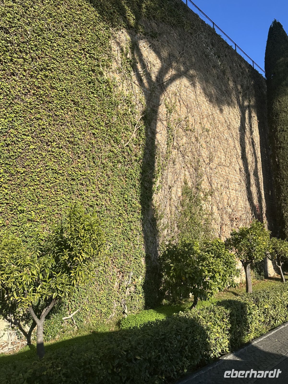 Vatikanische Gärten