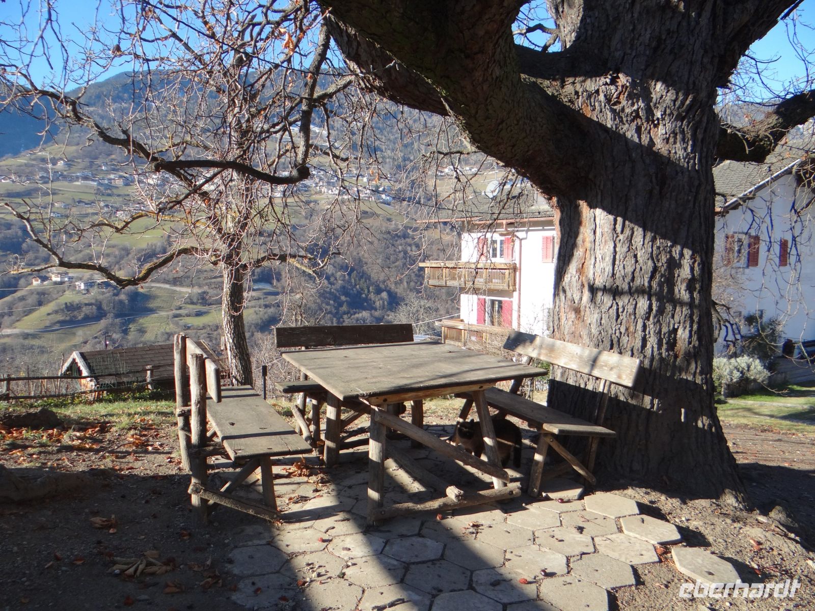 Unterfinserhof, Picknickplatz unter ausladender Kastanie 