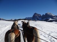 Seiser Alm, Kutschfahrt bei Postkartenwetter