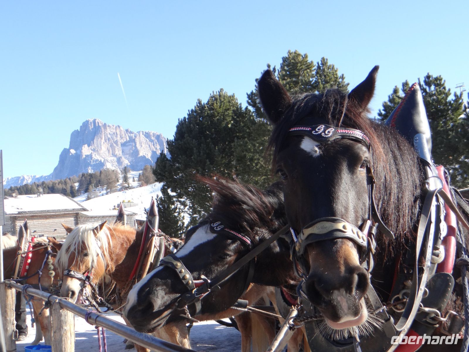 Seiser Alm, am Kutschenparkplatz