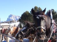 Seiser Alm, am Kutschenparkplatz
