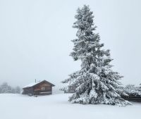 Wanderung auf der Villanderer Alm