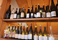 Weinprobe Weingut Radoar