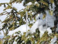 Wanderung Villnösser Tal