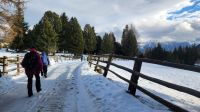Wanderung Ritten zur Villanderer Alm