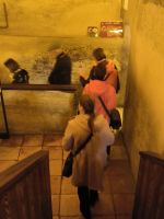 Venedig. Palazzo Ducale 