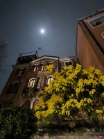 Venedig. Mondmimosen 