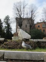 weitere Gäste im Forum Romanum