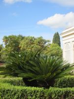 Palatin und Farnesische Gärten