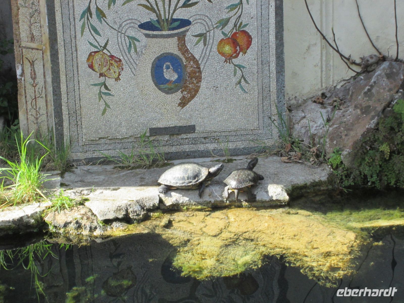 Vatikanische Gärten