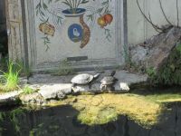 Vatikanische Gärten