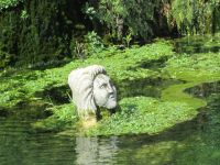 Vatikanische Gärten