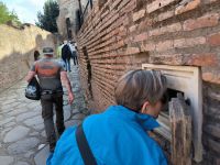 Rom. Forum Romanum, Palatin