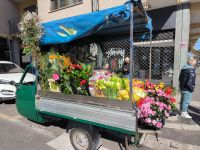 Rom. Ape - die Blumenbiene