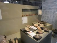 Kolosseum Rom Casa Tiberio Tiberius