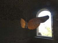 Tiberius, Rom, Archäologischer Park