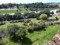 Archäologischer Park, Rom, Blick auf Circus Maximus