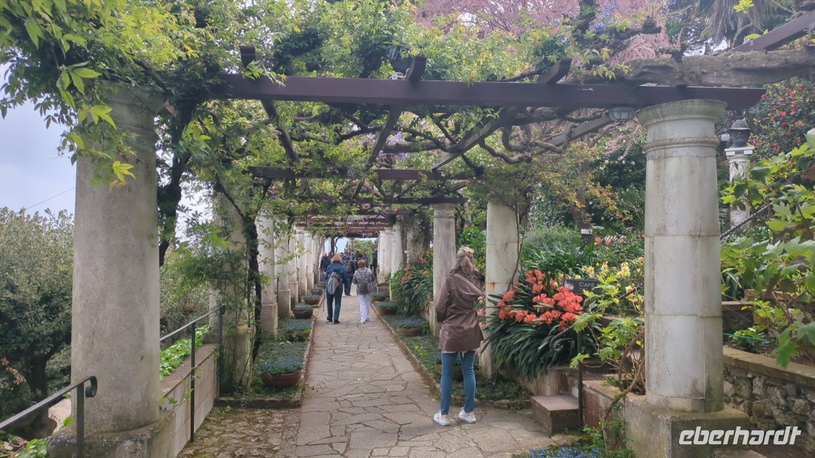 üppige mediterrane Vegitation 1