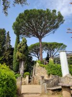 Villa Cimbrone/Schirmpinie/Ravello/Amalfiküste/Italien