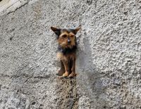 Wanderung von Ravello nach Pontone/Amalfiküste/Italien