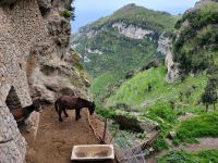 Wanderung auf dem Götterpfad/Amalfiküste/Italien