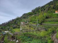 Trockenmauerwerk/Scala/Amalfiküste/Italien