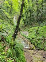 Wanderung Valle delle Ferriere/von Scala nach Amalfi/Italien 