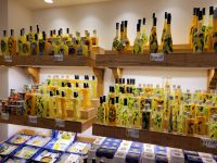 Likörfabrik in Sorrento/Golfvon Sorrent/Italien