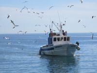 das nächste einlaufende Fischerboot in Vulcano