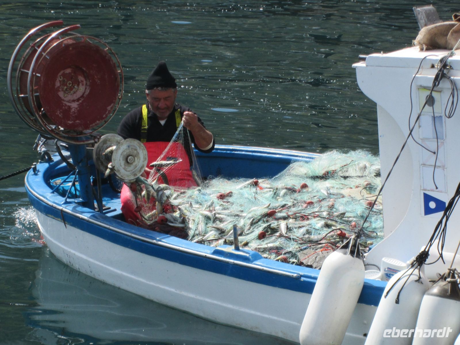 die Netzte sind voll