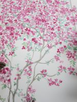 Hausbemalung Panarea