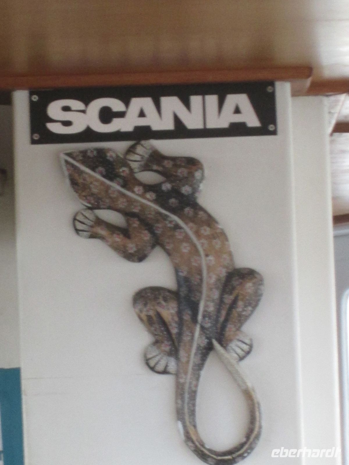 manche schauen bei bewegtem Meer auf den Horizont, andere auf einen Gecko:.)