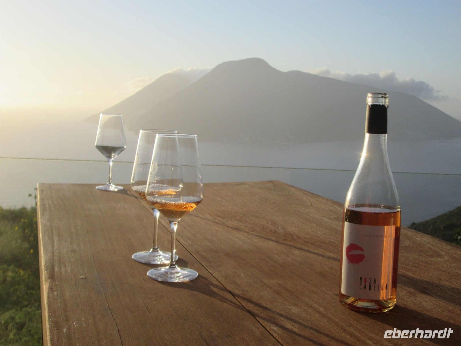 Traum-Panorama mit Weinverkostung