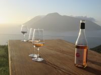 Traum-Panorama mit Weinverkostung