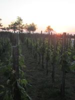 Sonnenuntergang Quattropani