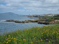 Fahrt entlang der Westküste von Alghero nach Bosa... (Blick auf Alghero)