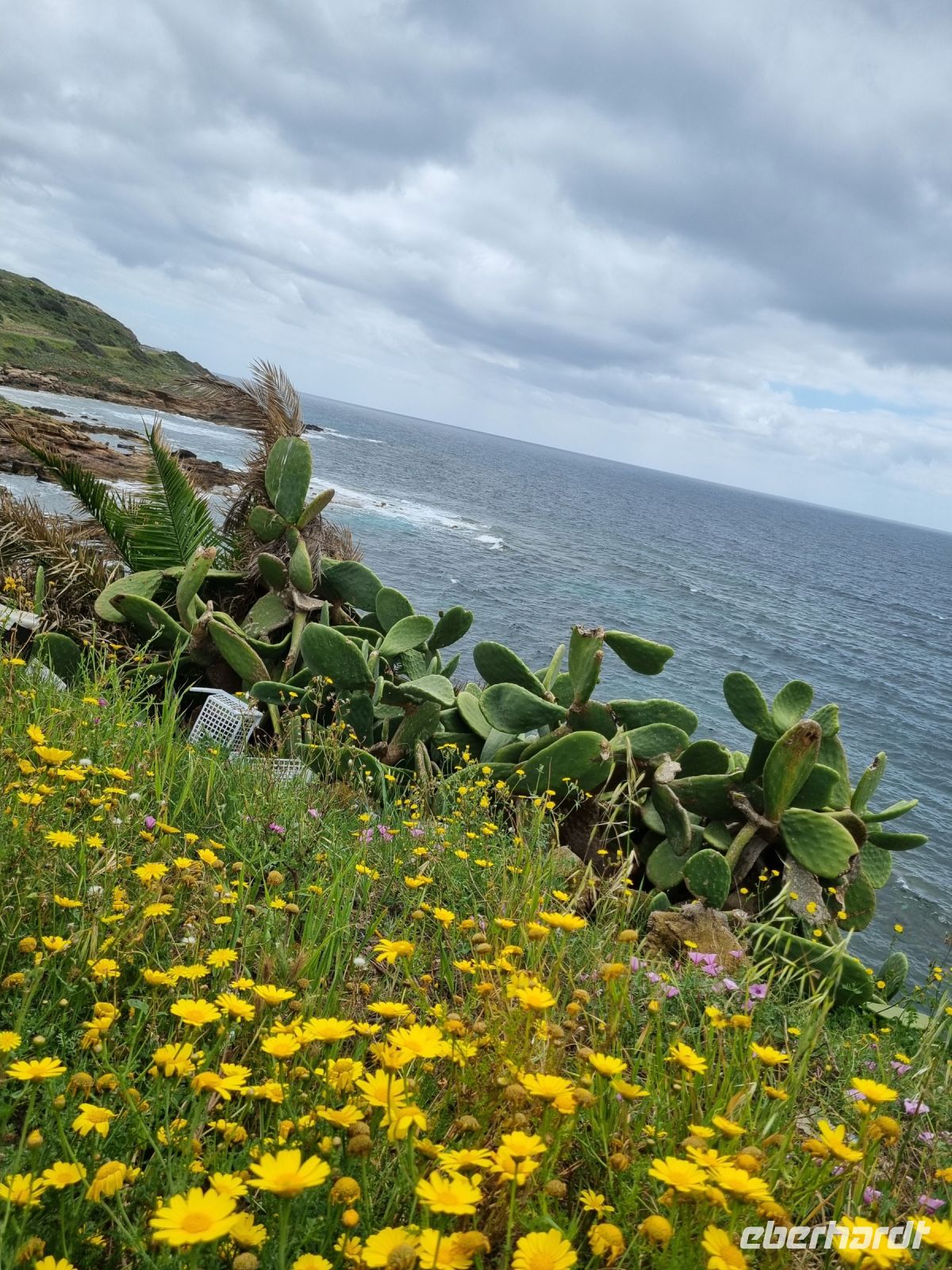 Fahrt entlang der Westküste von Alghero nach Bosa...