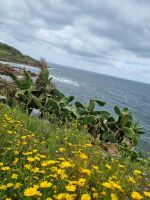 Fahrt entlang der Westküste von Alghero nach Bosa...