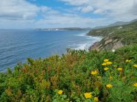 Fahrt entlang der Westküste von Alghero nach Bosa...