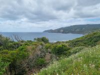 Fahrt entlang der Westküste von Alghero nach Bosa...