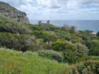 Fahrt entlang der Westküste von Alghero nach Bosa...