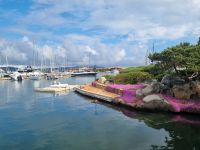 Costa Smeralda - Porto Rotondo 